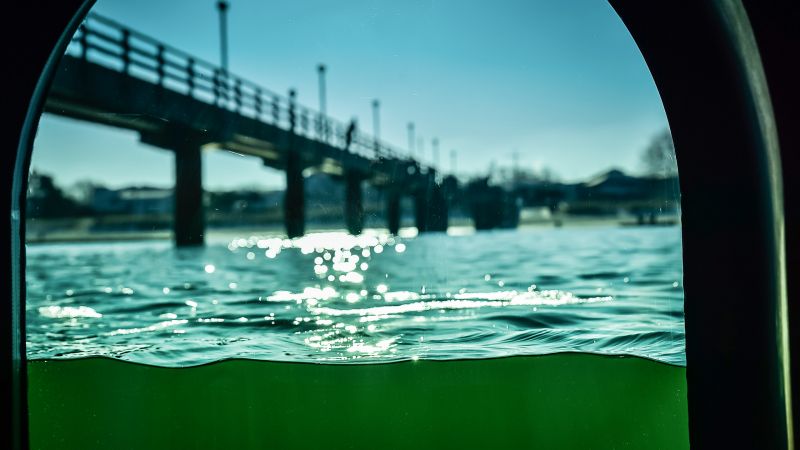 Tauchvorgang in die Ostsee