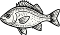 Fisch Grafik